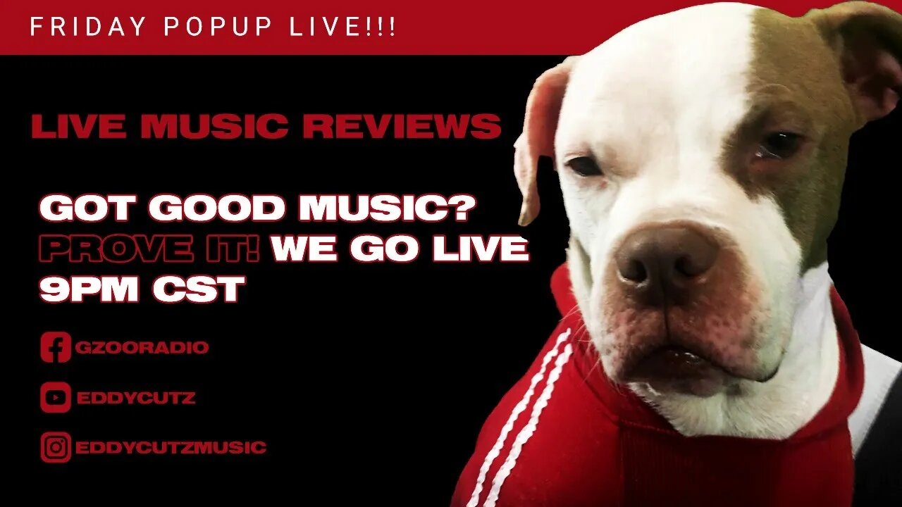 GZOO Radio live music reviews - Submit your music now!