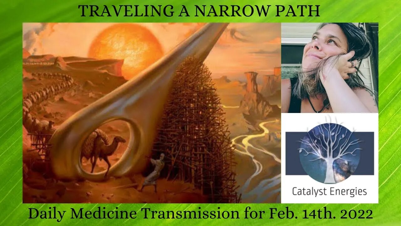 TRAVELING A NARROW PATH - Daily Medicine Transmission for Feb. 14th, 2022