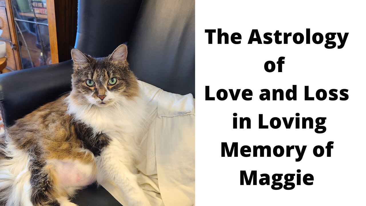 The Astrology of Love and Loss In Loving Memory of Maggie