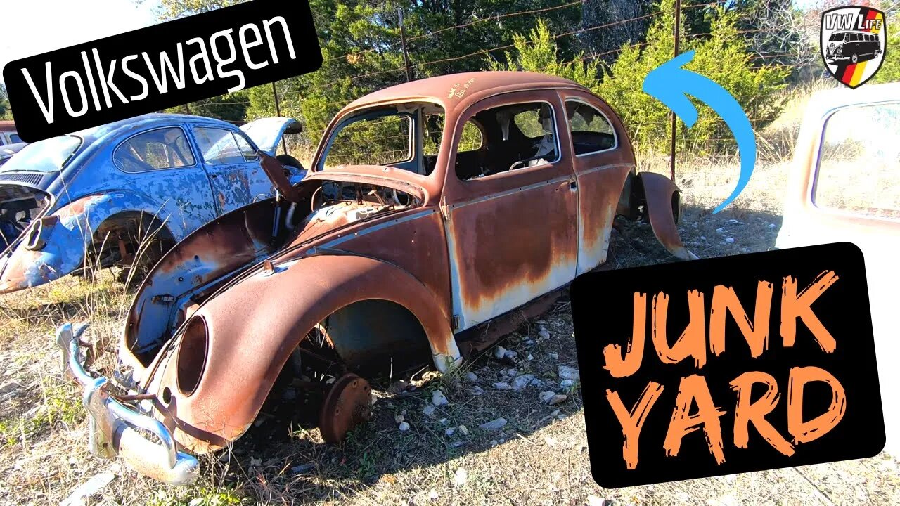 Huge VW Junk Yard Crawl in Texas Closing Soon! Save the VWs