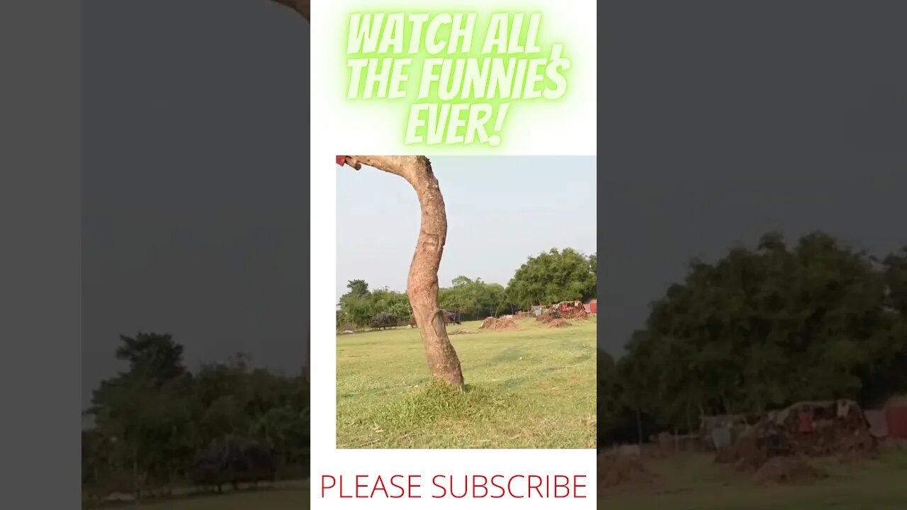 TOTALLY FUNNIEST VIDEO 2021....#shorts