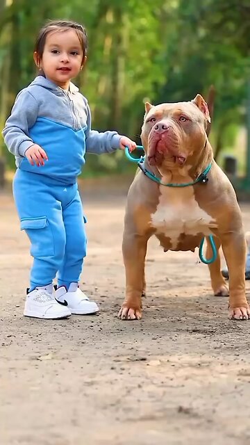 cut dog with cute baby