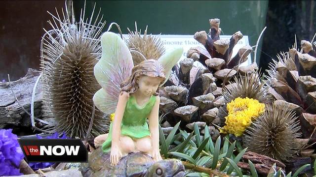 Fairy Festival returns to the Botanical Gardens