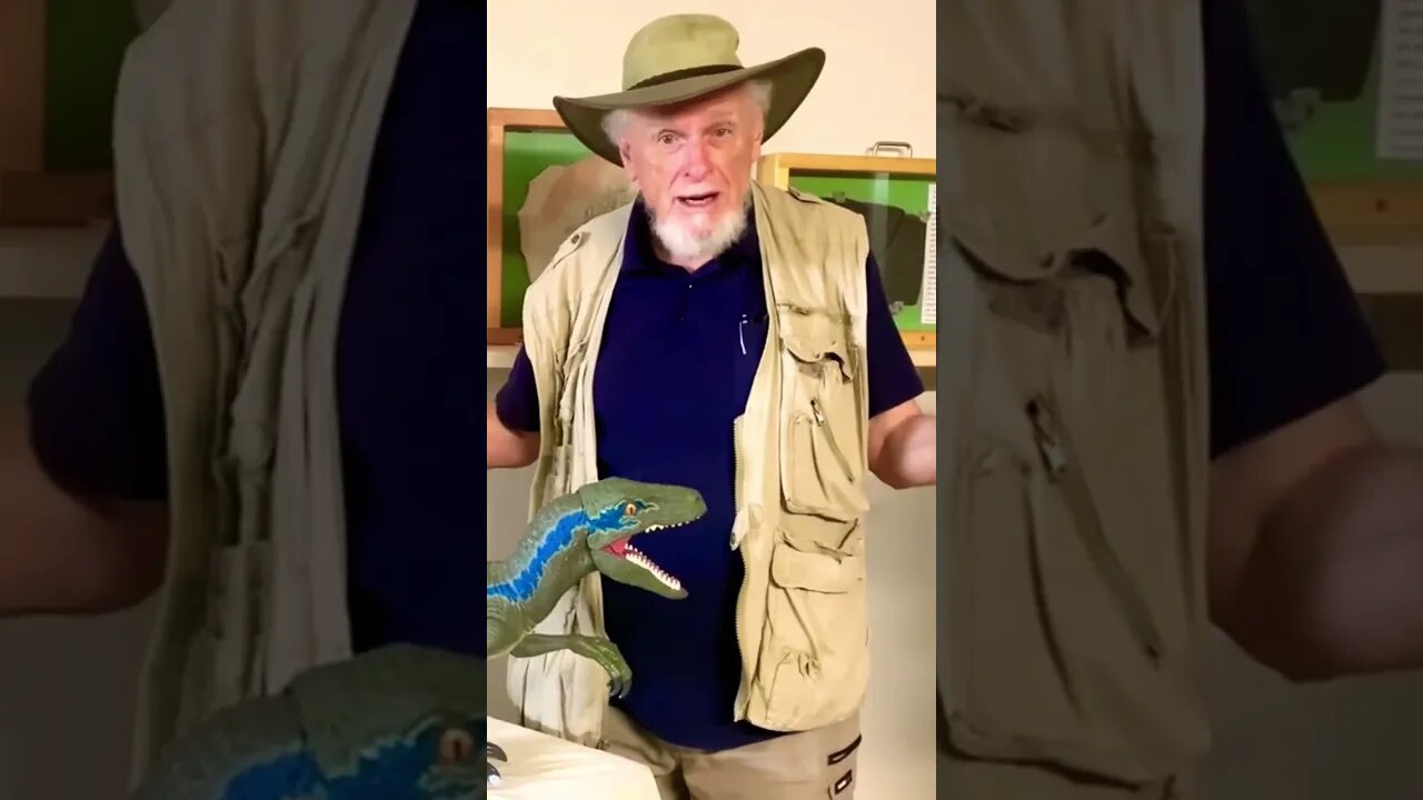 Meet the REAL Velociraptor! #dinosaur #velociraptor #jurassicworld #jurassicpark #viral #fake