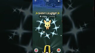 #shiny #lillipup #pokemon #shinypokemon #pokemongo #letsgo #shinyhunt #shinyhunting #fyp #fypシ