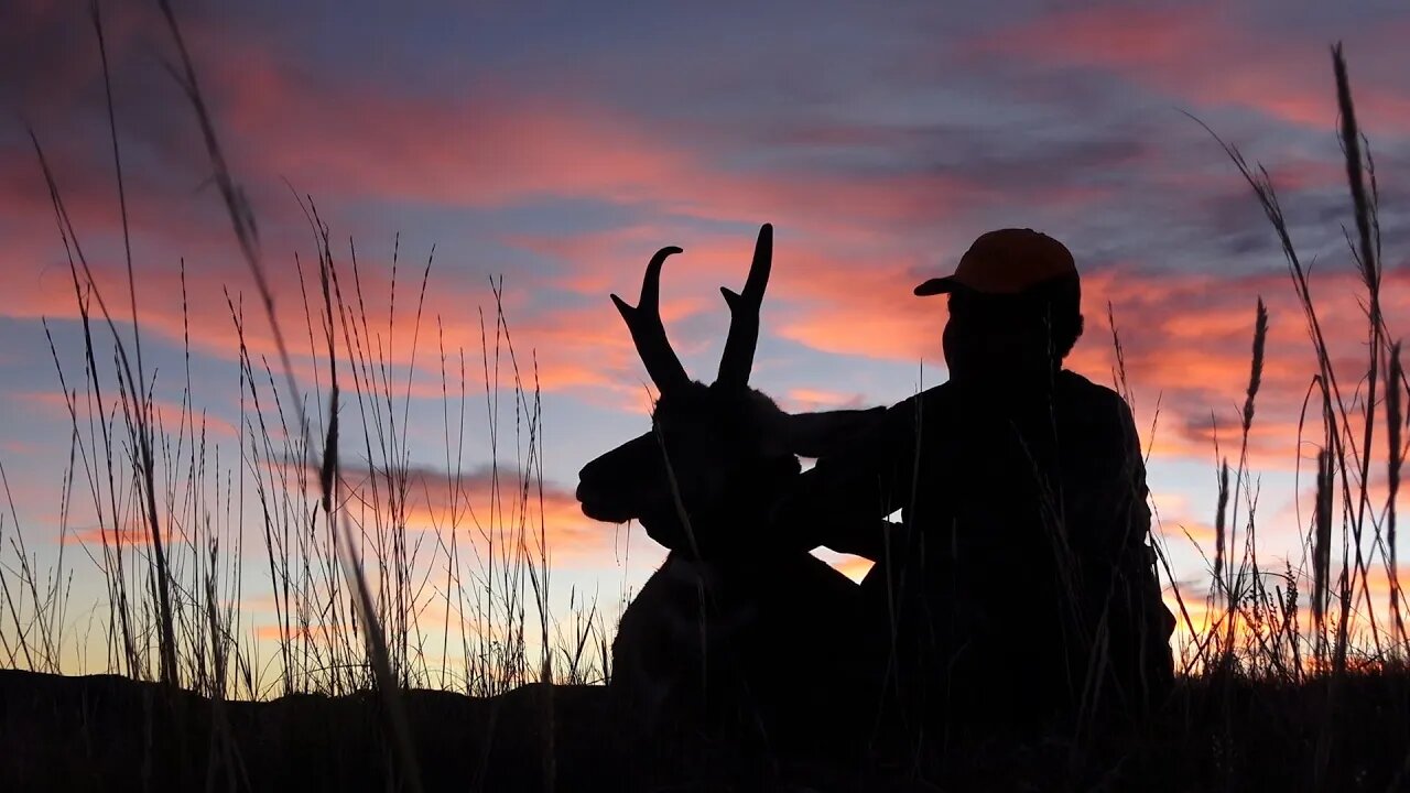 Kill Shot! 6.5 Creedmoor Vs Antelope #2-- 2022