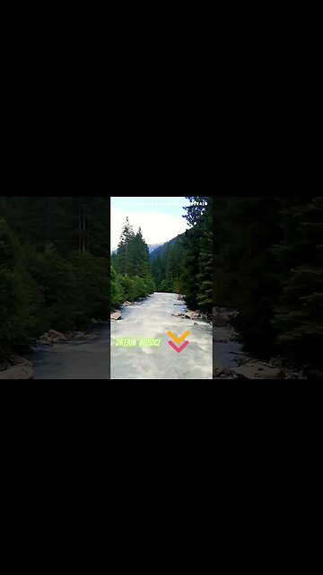 Liberación de Toxinas: Música de Meditación para Purificar Cuerpo y Mente 🌿🌌