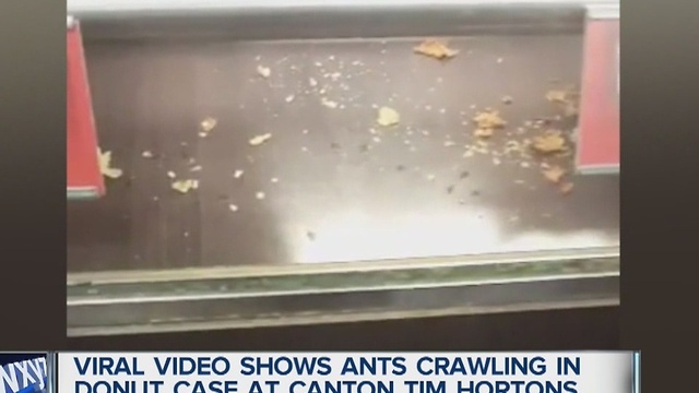 Viral video shows ants in display case at Tim Hortons