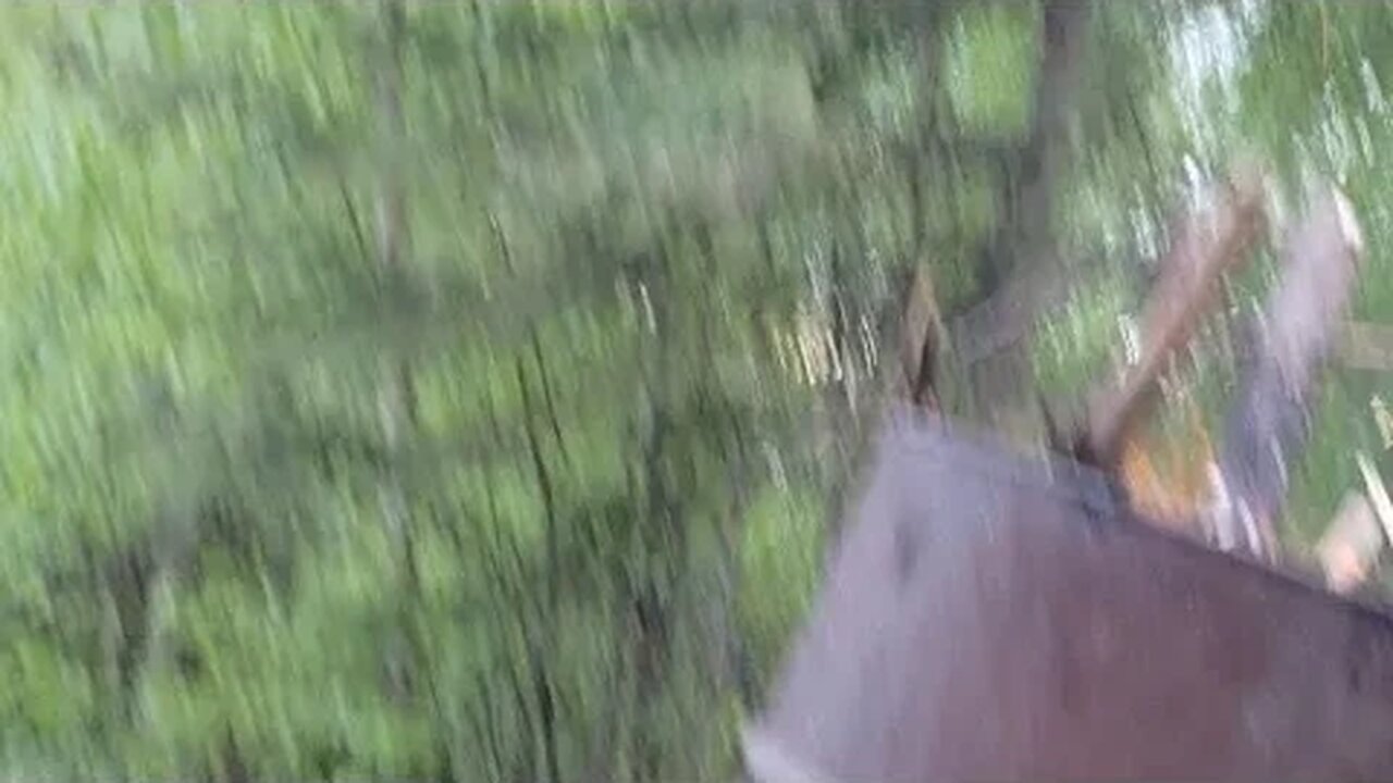 Alaskan Livestreams Suck