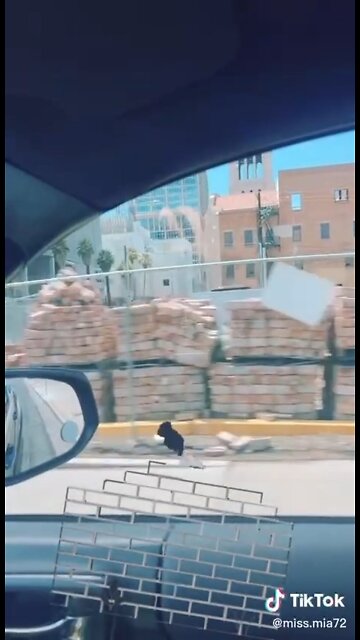 Random bricks placed behind a fence in Phoenix.
