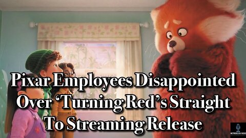 Pixar Employees Disappointed Over TURNING RED's Straight To Streaming Release