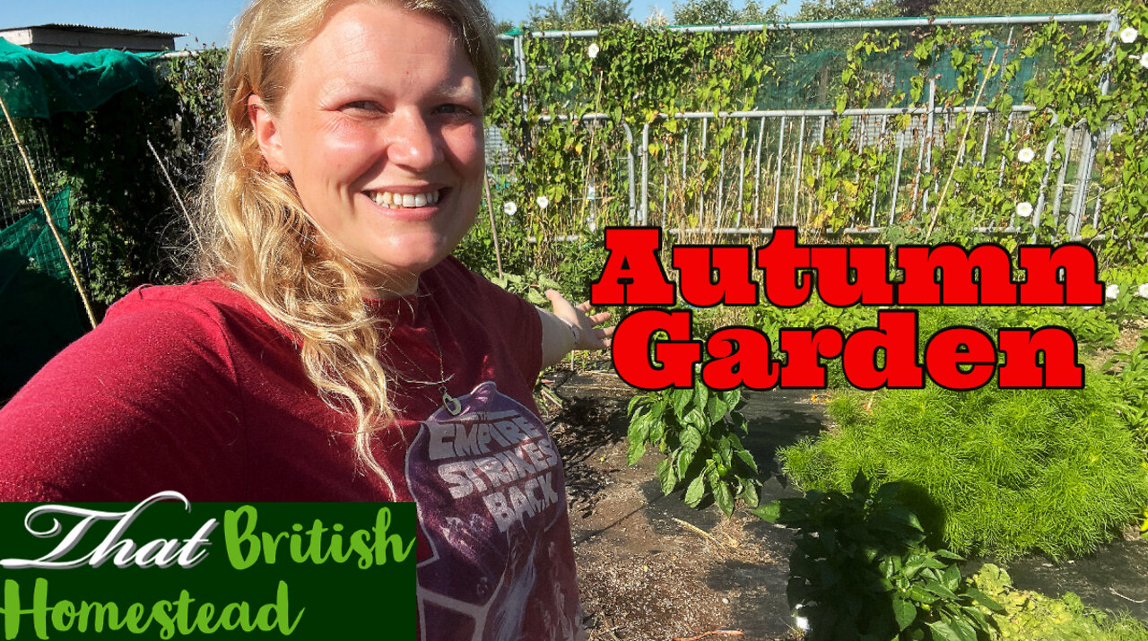 This Is How I Plant my Autumn Allotment Garden