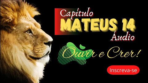 Mateus, capítulo 14 (Bíblia sagrada). @ouvirecrer61