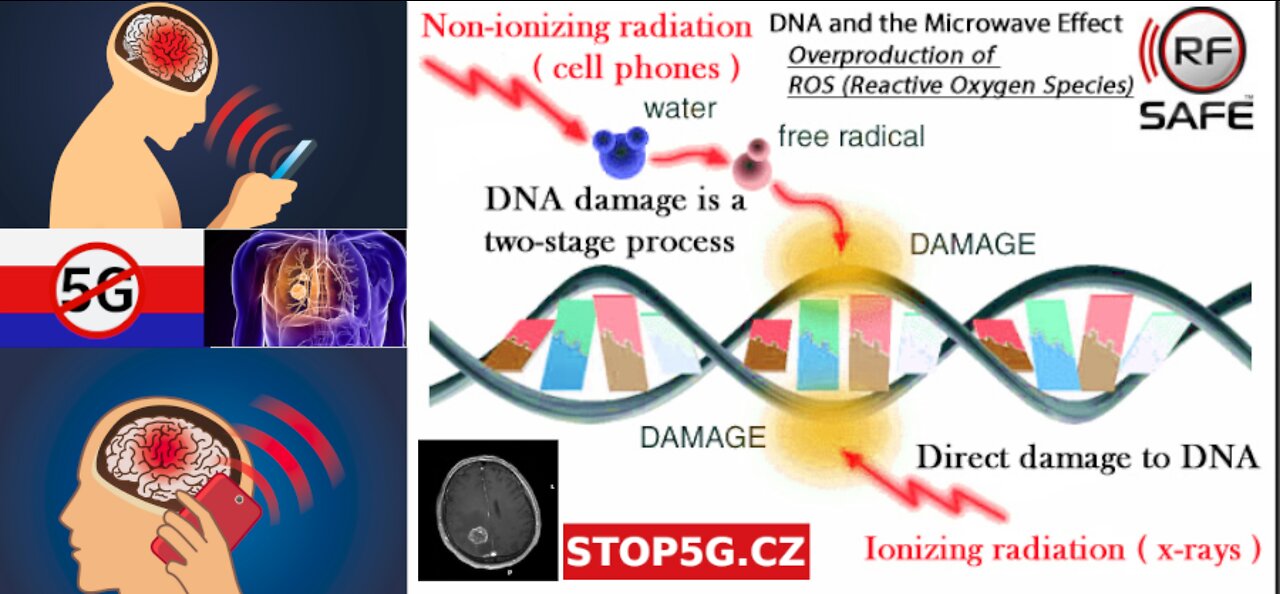 QUANTUM SCALAR WAVE MIND CONTROL DNA RESONANCE 3-14-2022