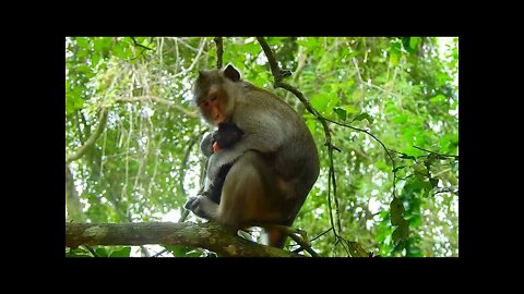 Cute Mom Anna Take Care Her Daughter On The High Tree