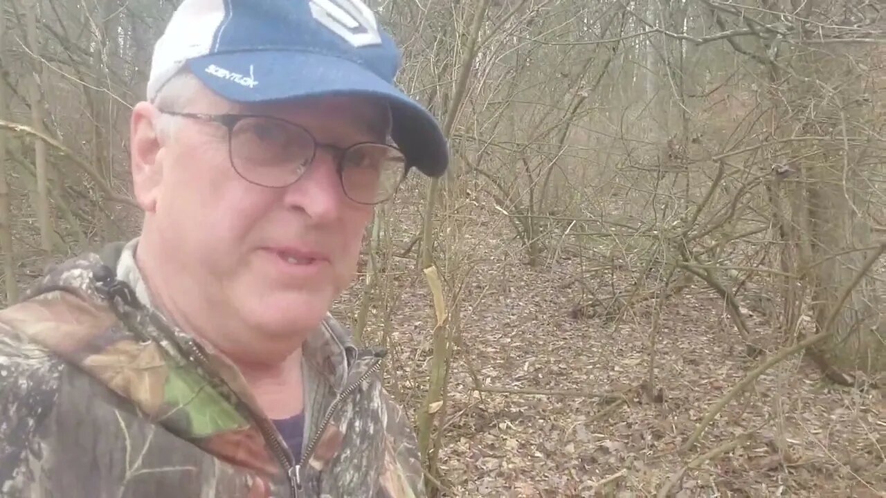 Grindin up Invasive Brush #short