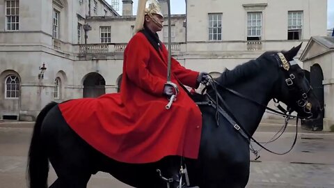 Horse change over #horseguardsparade