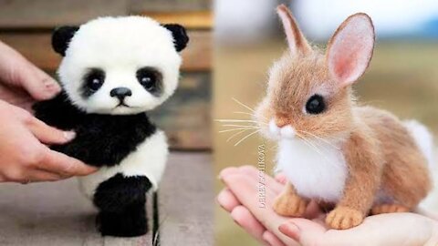 Cute babies Animals most beautiful of the decade