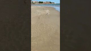Aquele Momento Pé na Areia! #curiosidades #shorts #praia