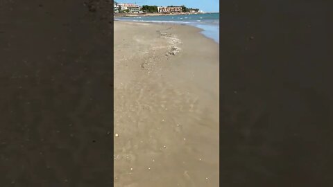 Aquele Momento Pé na Areia! #curiosidades #shorts #praia