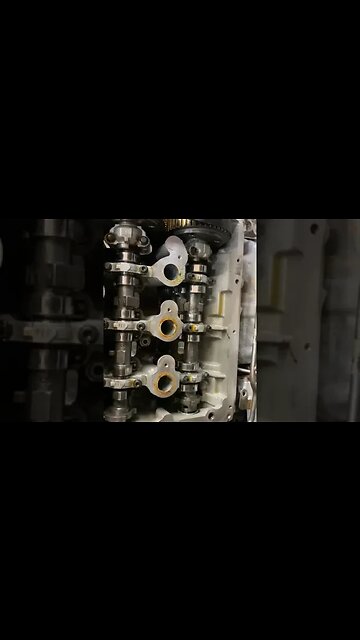 Cliente pagou pra abrir e conferir a Correia #shorts