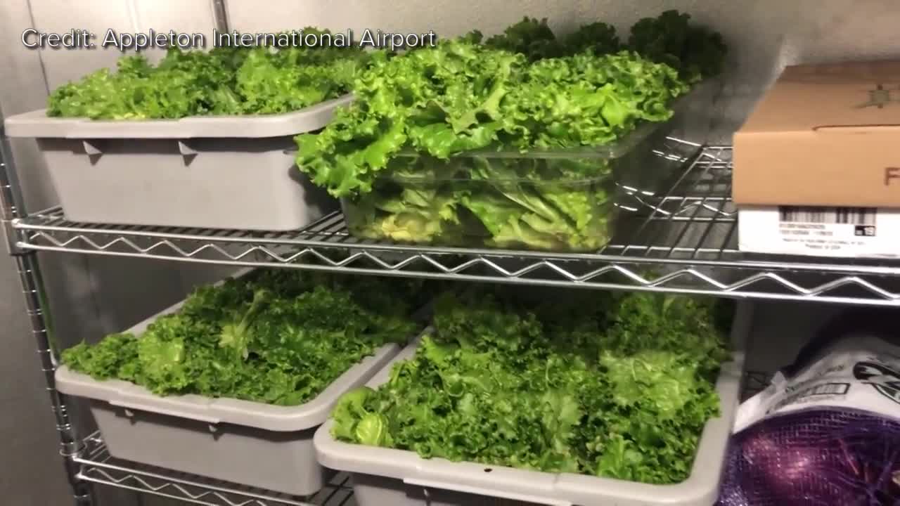 Appleton Airport harvests first batch of lettuce