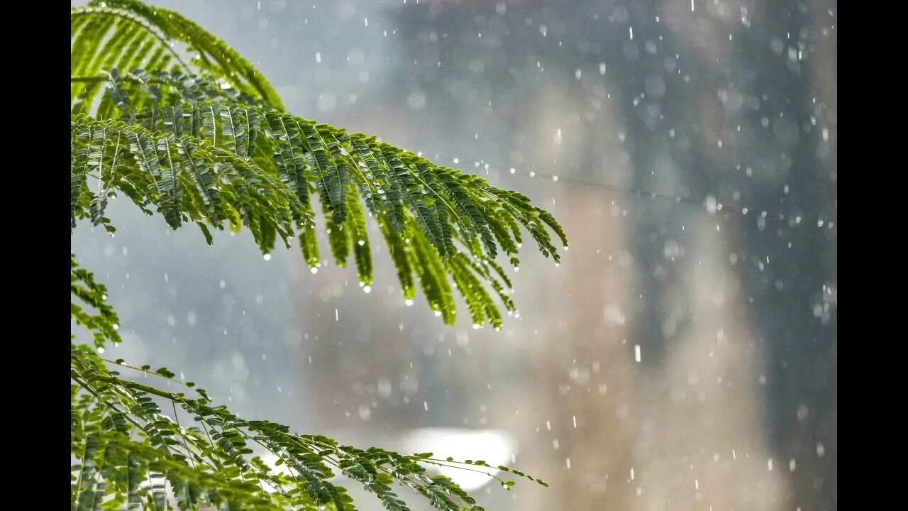 The Rain Sound ASMR You've Been Waiting For.