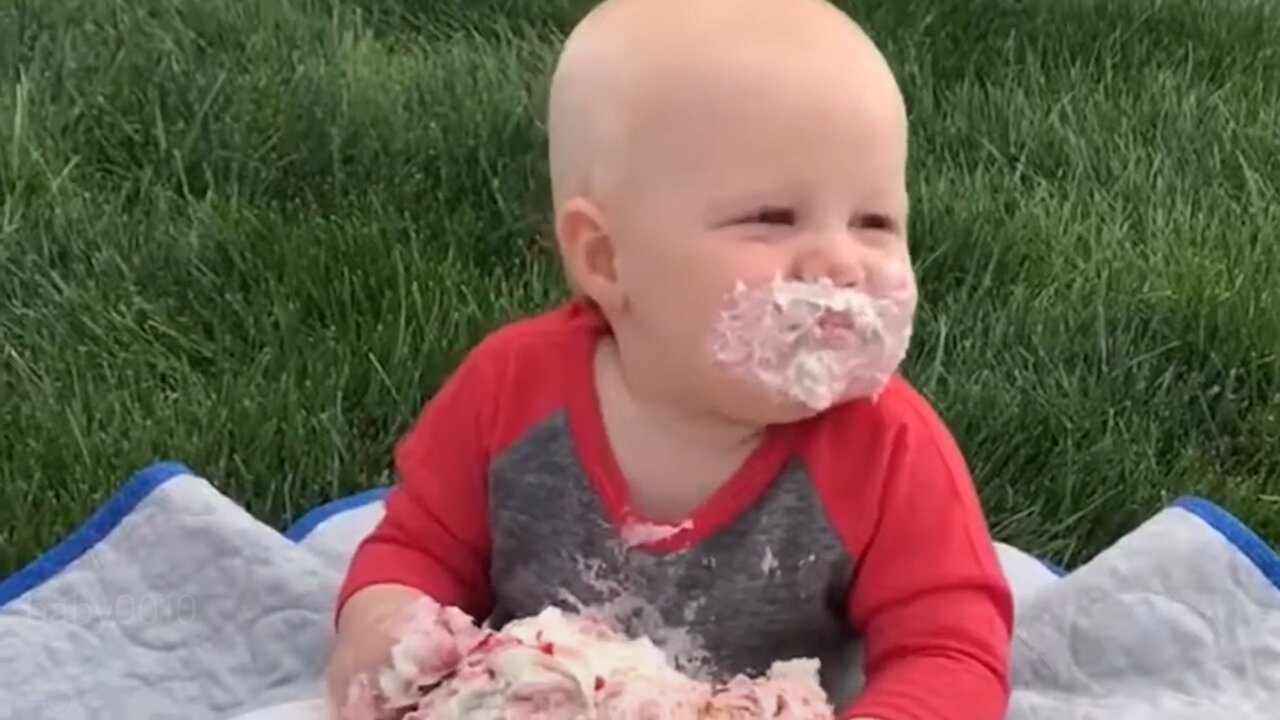 Babies Eating Cake Funny Reaction