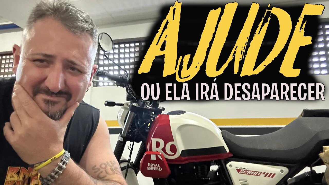 AJUDE: ou ela irá DESAPARECER. Depois não digam que eu não avisei