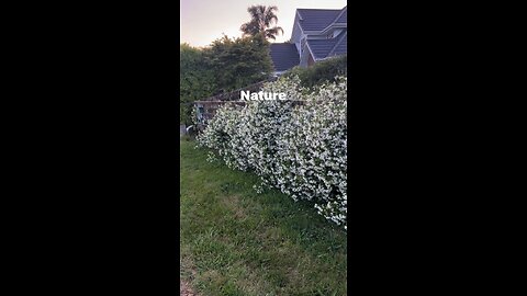 #Naturelover