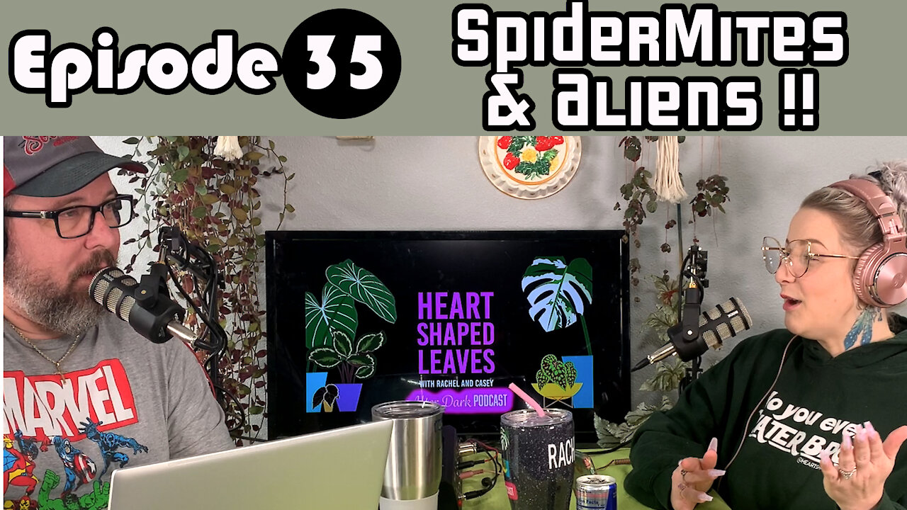 Spider mites and Aliens - HSL After Dark Podcast Ep35