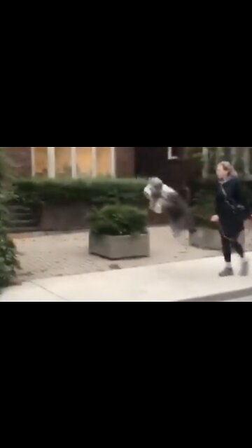 Waiting For Biden's Presidency to be Over Like...