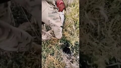 Ukrainian Defenders #shorts