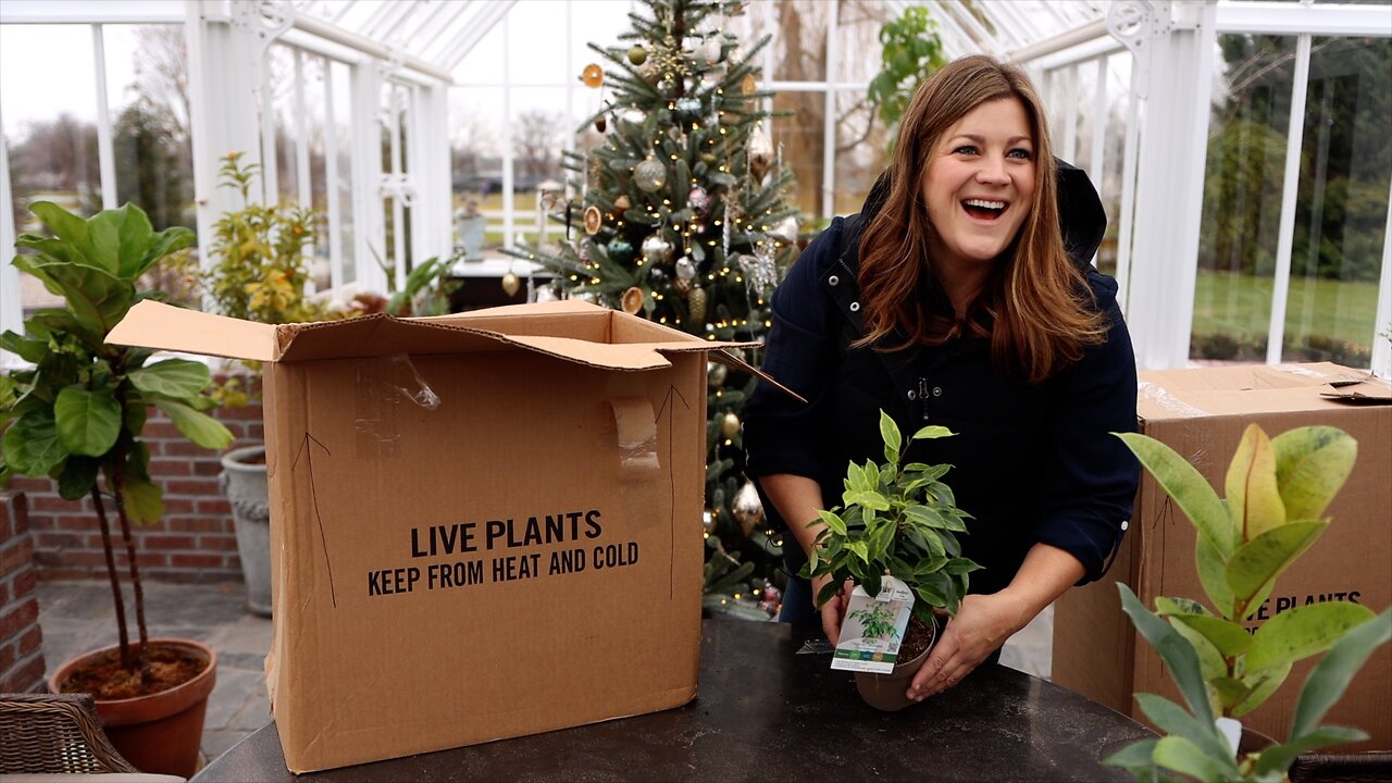 Unboxing Houseplants! 🌿💚🙌