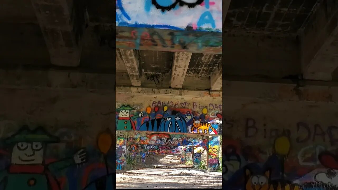 Beneath the Graffitti Bridge to Nowhere 5 #shorts