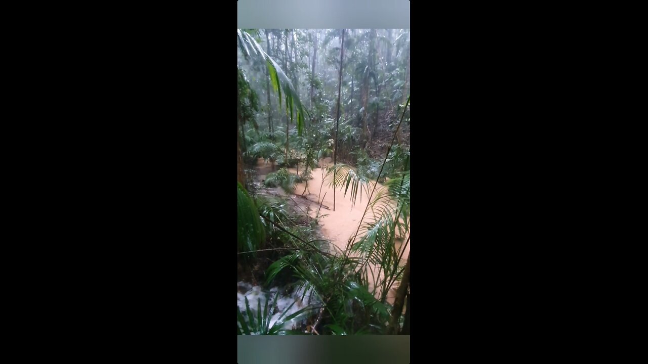 Cyclone Jasper : Before and after cams