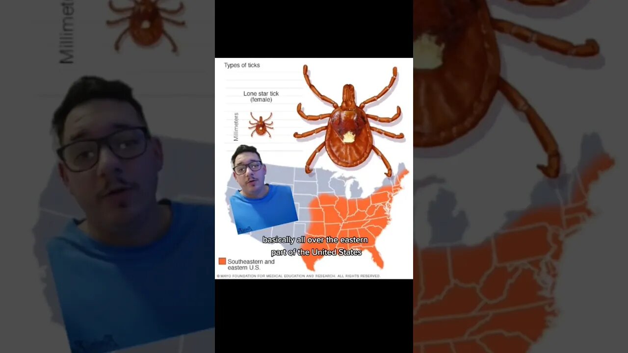 This tick makes you ALLERGIC to MEAT