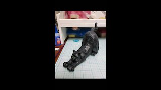 Broken kitty repaired
