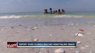 Florida beaches earn "D" grade in annual report card