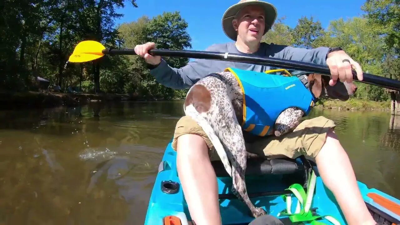 Doggie paddle