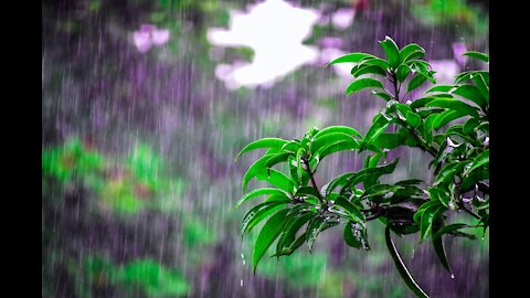 Chuva relaxante e calmante para dormir, meditar e estudar em tela escura - 8 horas