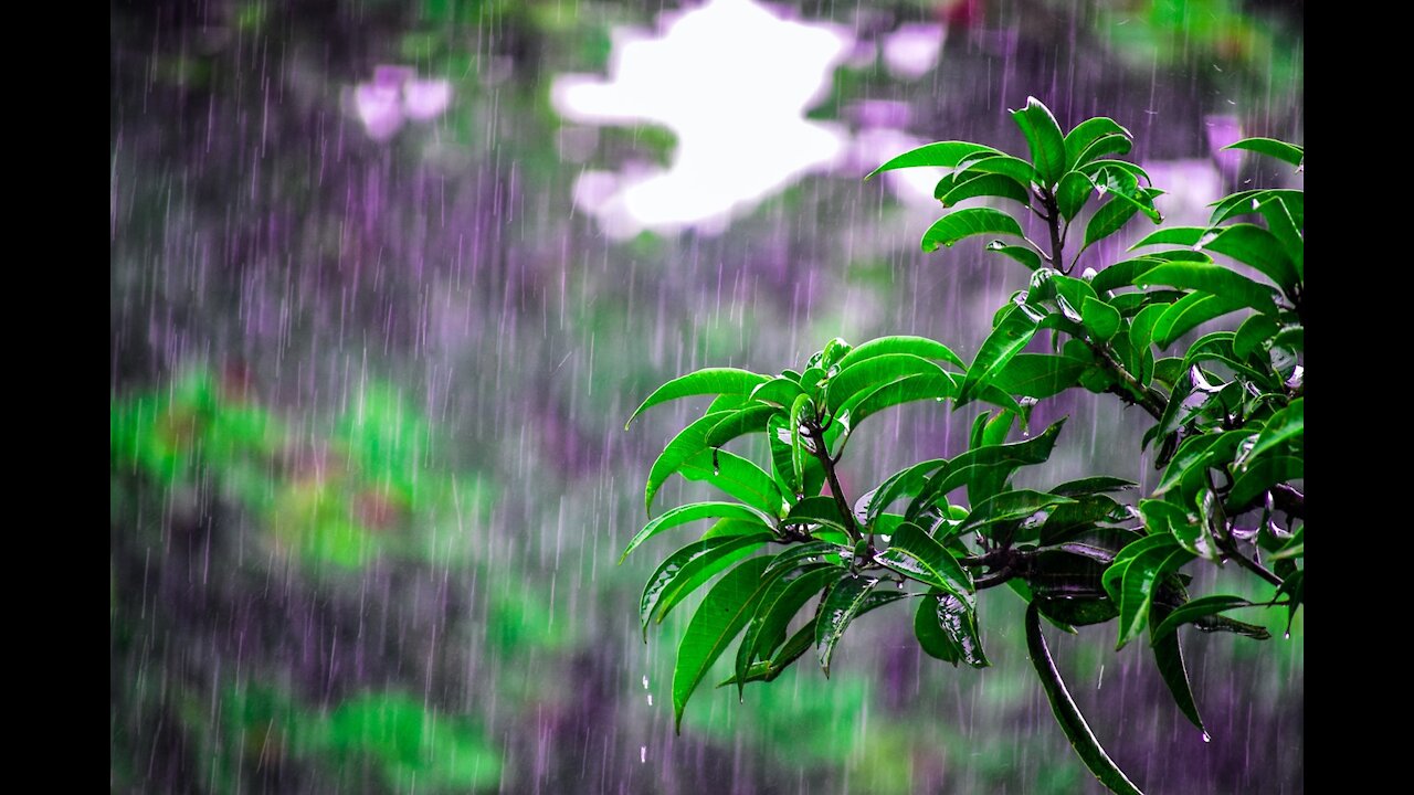 Chuva relaxante e calmante para dormir, meditar e estudar em tela escura - 8 horas