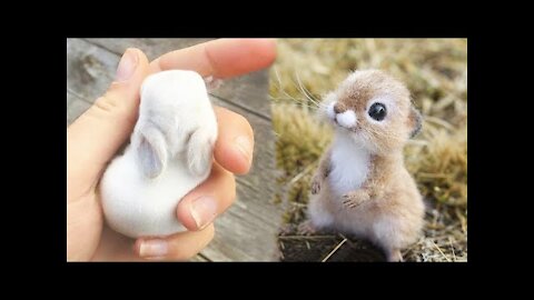 AWW SO CUTE! Cutest baby animals Videos Compilation Cute moment of the Animals - Cutest #2