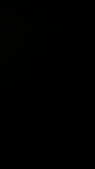 Reawaken America 🇺🇸