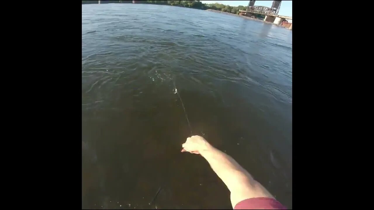 Cast netting the river