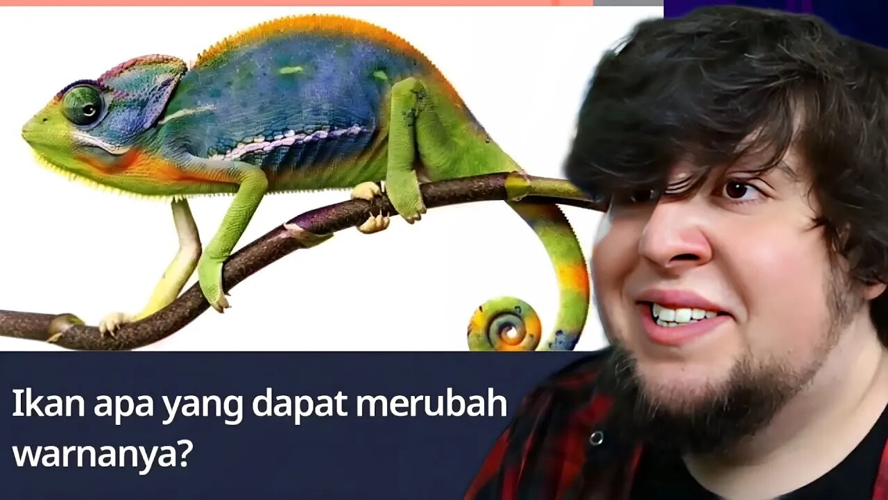 Terntata ada ikan yang bisa berubah warna 🐟| Quizzland level 6
