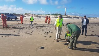 Bolsonaro: Brazil Is Not Responsible For Oil Spill