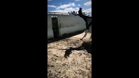 THIS👀HORSE🐴DIDN'T GIVE2️⃣F#CKS💥😎🍺