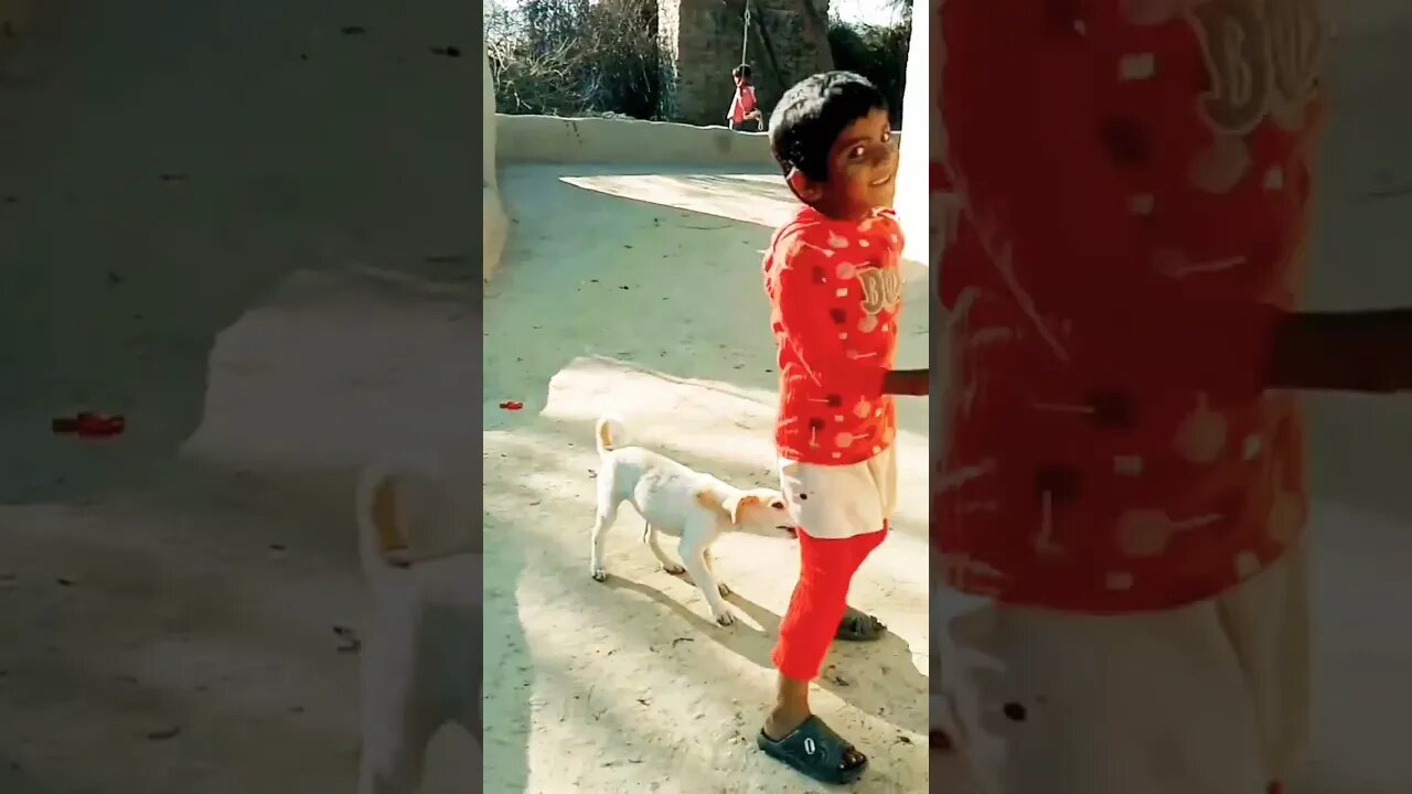 dog and children