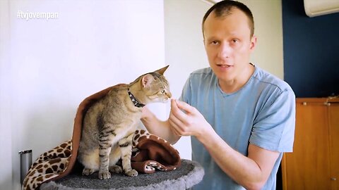 Pet Na Pan #39: Como fazer procedimentos desagradáveis em gatos